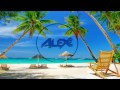 Blakai feat Lady Alma - Work It Out (Alex Inc Mash Mix)