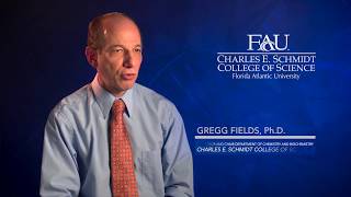 FAU Scientist Gregg Fields, Ph.D.: The Search for Novel Cancer Inhibitors