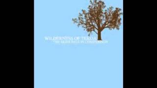 Watch Wilderness Of Tekoa Love Hate video