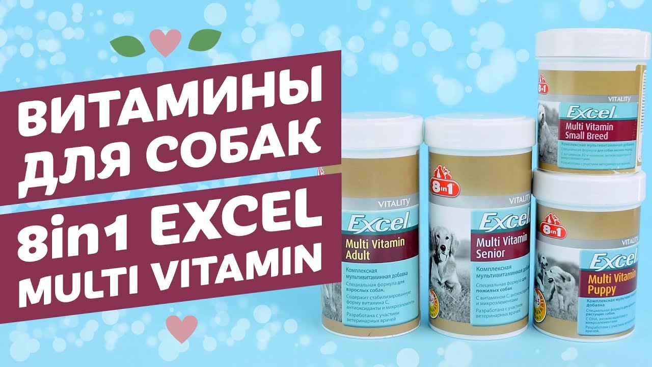 Какие витамины давать беременной чихуахуа 64