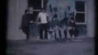 Aulas e Azeitonas - Parte I