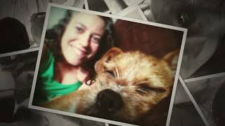 Fawster DAWG tales: Rocky's story