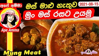 Mung meat curry (vegan) by Apé Amma