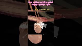 Thủ Dâm Nhiều Có Tác Hại Gì? Những Căn Bệnh Dễ Gặp Khi Nam Giới Thò Tay Vào Để Thủ Dâm