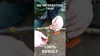 100% Trap In Five Minutes