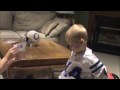 INDIANAPOLIS COLTS 3 YEAR OLD FAN