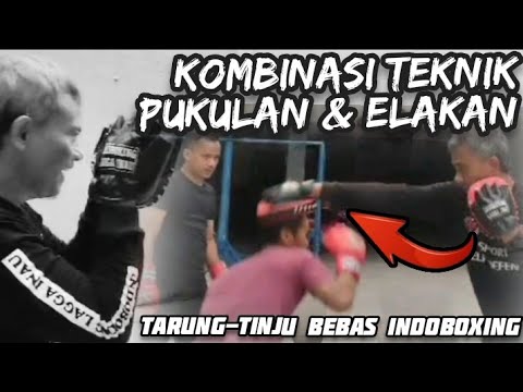PAD-WORK FOKUS TEKNIK PUKULAN & ELAKAN ❗ INDOBOXING LAGGA'INAU