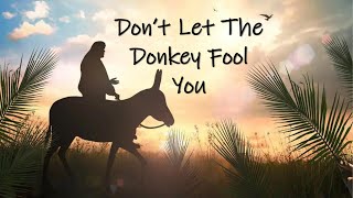 Don't Let The Donkey Fool You