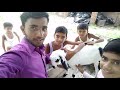 Village lifestyle in india इंडिया के गांव की जीवनशैली