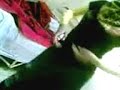 بنت الثانويه بترقص في البيت