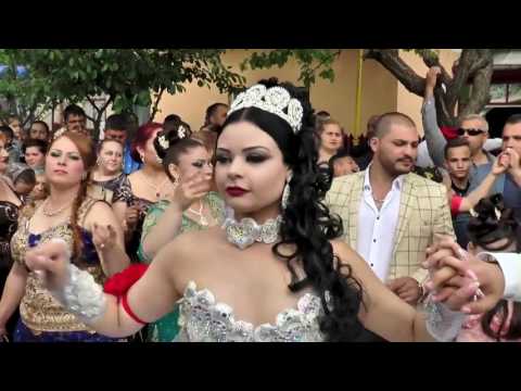 Nunta In Stil Indian Video Watch Hd Videos Online Without Registration
