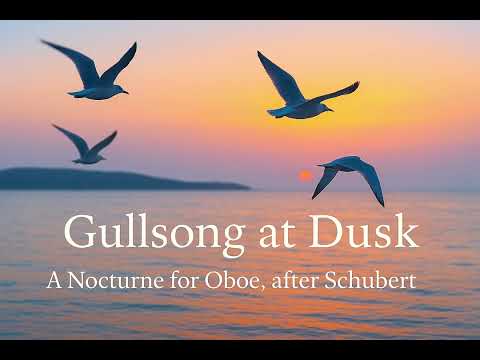 Follow the gulls to dreamland #soothingmusicforrelaxing