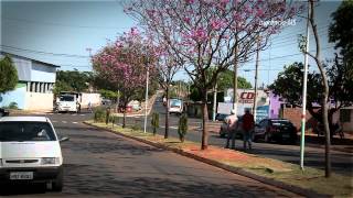 Pequenos Negócios O Projeto Prolocal Em Inocência Sebrae Ms