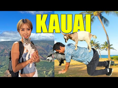We Flew to Kauai and Here’s What Happened