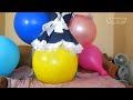balloon fetish