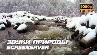 Живая Природа - Река | Зима | Звуки Природы | Звуки Ручья | Шум Воды | Релаксация | Заставка Для Тв