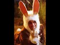 Dogs & Birds - Robbie Williams with lyrics