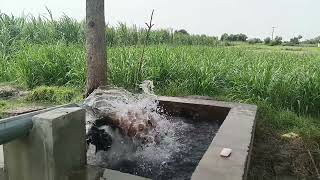 Enjoy My Hot Tubewell Swimming Vlog