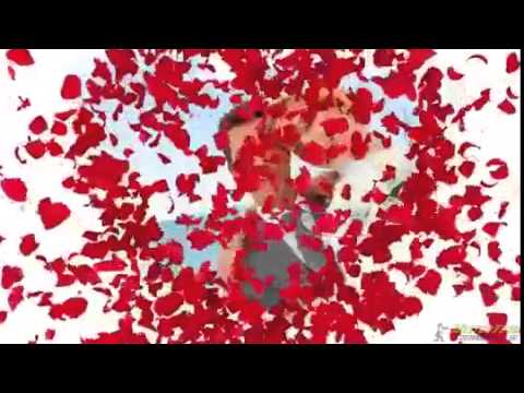 торрент стили proshow producer