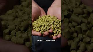 Est-Ce Que Tu Connais La Neipa De Castelain ?