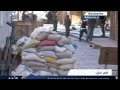 David Icke - Syria:The Truth (Viewer Discretion Advised)
