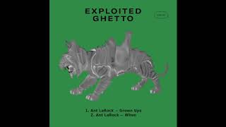 Ant Larock - When