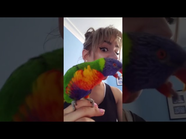 I Want To Be Like My Owner So I Do Everything She Does - Video