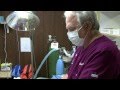 Watch Stem Cell Therapy For Pets at Newkirk Family Veterinarians - Hunter's Story Video