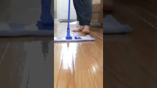 Diy Floor Cleaners That Save