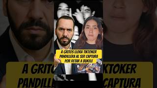 Llora Tik-Toker Al Ser Capturada Por Retar A Bukele