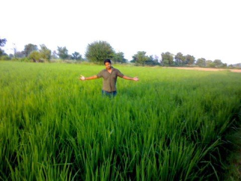 Chandigarh de nazare kudiyan landi jeep tashan deepak sandhu