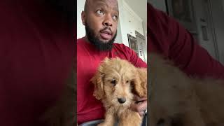 I apologize to dog owners for judging you