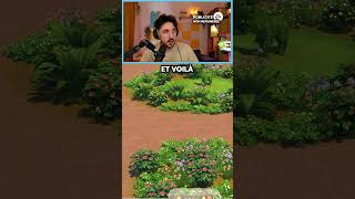On Peut Acheter Tous Les Terrains Communautaires Sur Les Sims 4