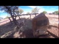 Gary the goat goes to the birthplace of Aboriginal Land Rights.