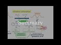 Vitamin K Mechanism of action【USMLE Biochemistry】