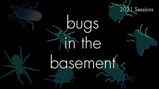 Bugs In The Basement - Cydia Pomonella aka The Codling Moth