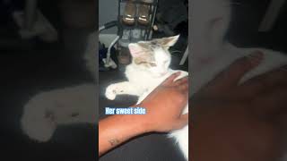 She Be Wylin