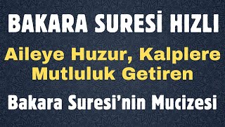 Bakara Suresi̇ Hizliaileye Huzur, Kalplere Mutluluk Getiren Bakara Suresinin Mucizesi. Hemen Dinle