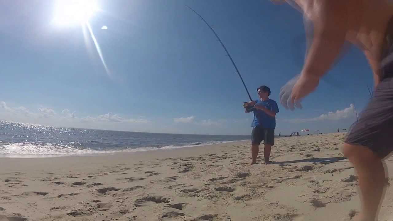 Surf Fishing for Sharks in NJ YouTube