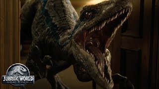 Jurassic World: Fallen Kingdom - In Theaters June 22 ( Jurassic World: Fallen Kingdom - In Theaters June 22 (