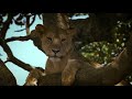 Lions