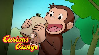 Honey Honey! 🐵 Curious George 🐵Kids Cartoon 🐵 Kids Movies 🐵Videos for Kids