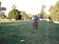 Gineteada em burro isaac ferraz x over dose - youtube