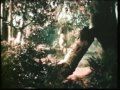 Springtime In The Sierras Roy Rogers Color Western Full Movie ...