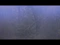 Messin' with Voorhees
