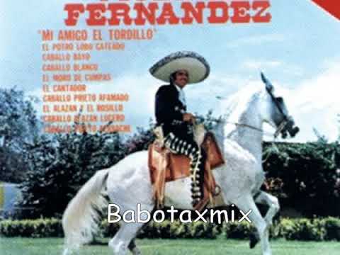 Vicente Fernandez Mix (Corridos De Caballos)