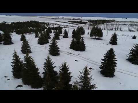 Craigmont Farm Overview