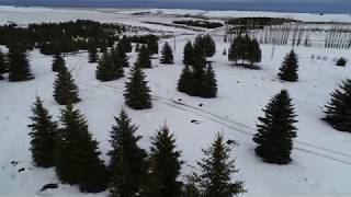 Video 2: Farm Overview