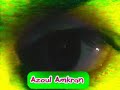 Katchou -- dami dami - youtube