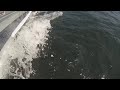 HAV 動画21b